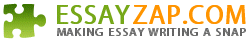 EssayZap